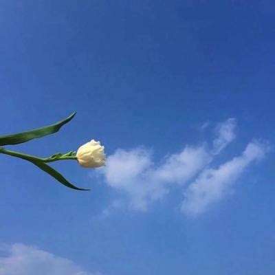 天硕(TOPSSD)解析：存储介质的分...
